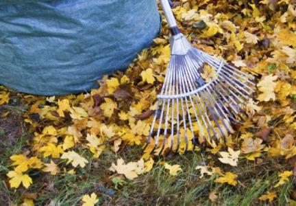 Achtung: Letzter Arbeitseinsatz vor dem Winter!